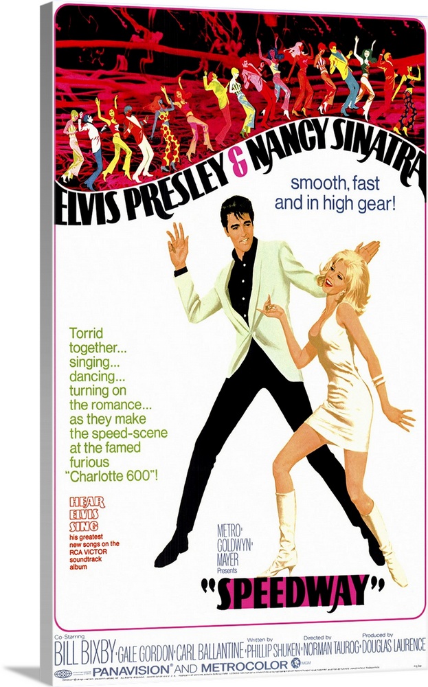 Elvis the stock car driver finds himself being chased by Nancy the IRS agent during an important race. Will Sinatra keep t...