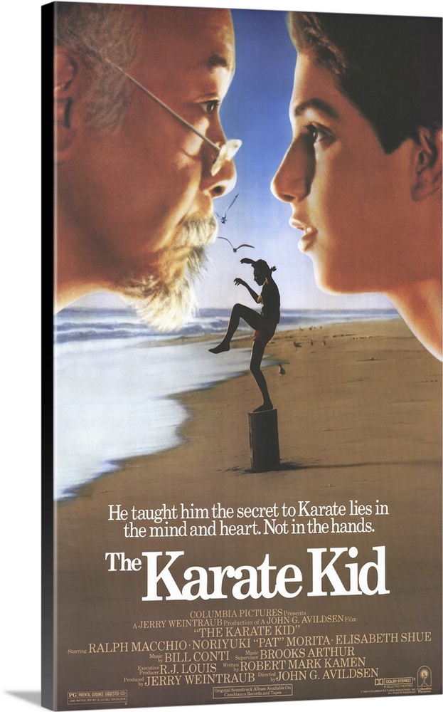 A teenage boy finds out that Karate involves using more than your fists when a handyman agrees to teach him martial arts. ...