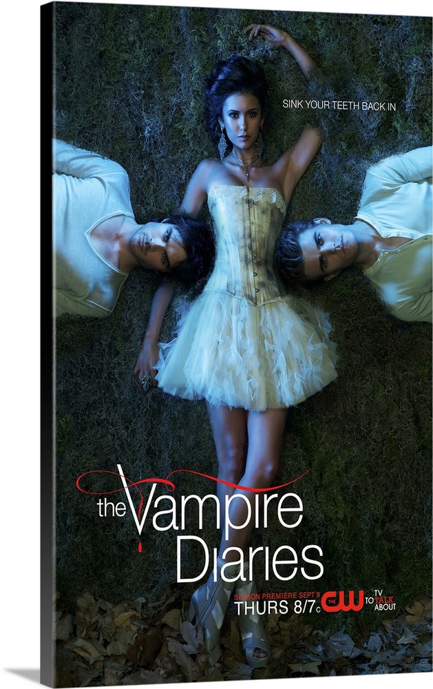 The Vampire Diaries  Vampire diaries poster, Vampire diaries