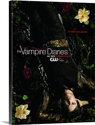 The Vampire Diaries - TV Poster