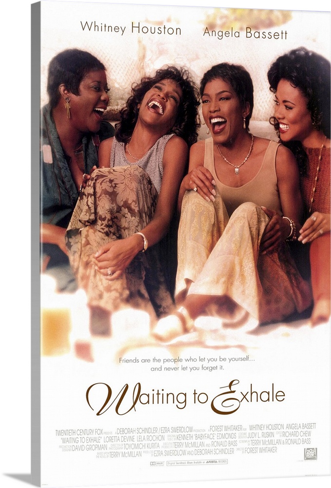 Adaptation of Terry McMillan's novel about four African-American women hoping to reach the point in their love lives when ...