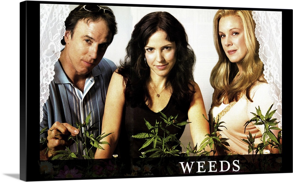 Comedy about a suburban mother turned marijuana dealer.
