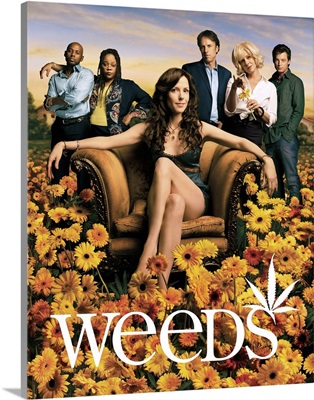 Weeds (TV) (2005)