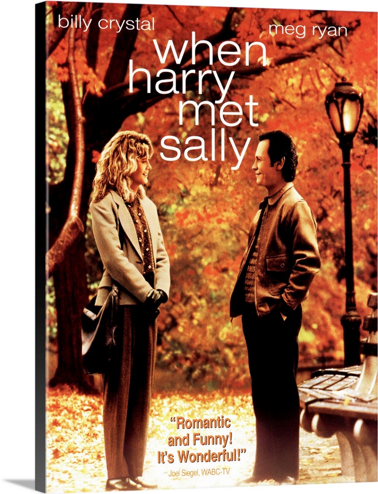 1989 When Harry Met Sally Home DecorWall ArtPicture Movie Film Poster Print A3 A4 A5