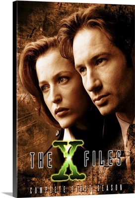 X Files, The (TV) (1993)