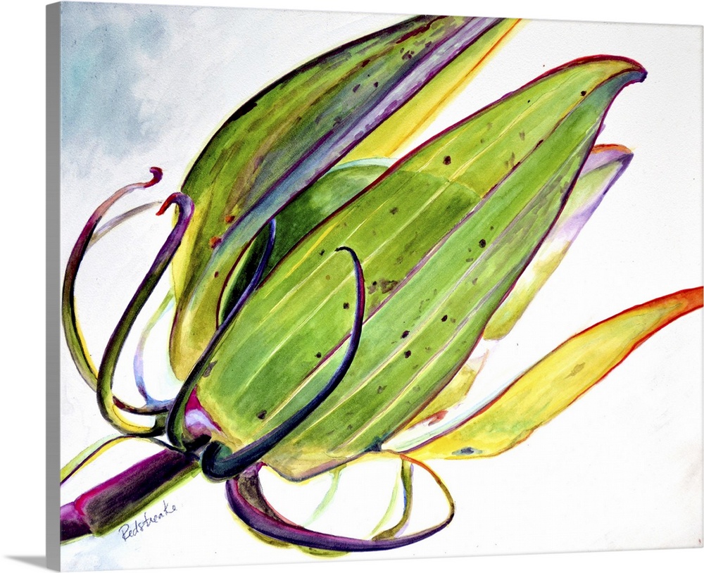 Contemporary painting of a close view of a flower pod.