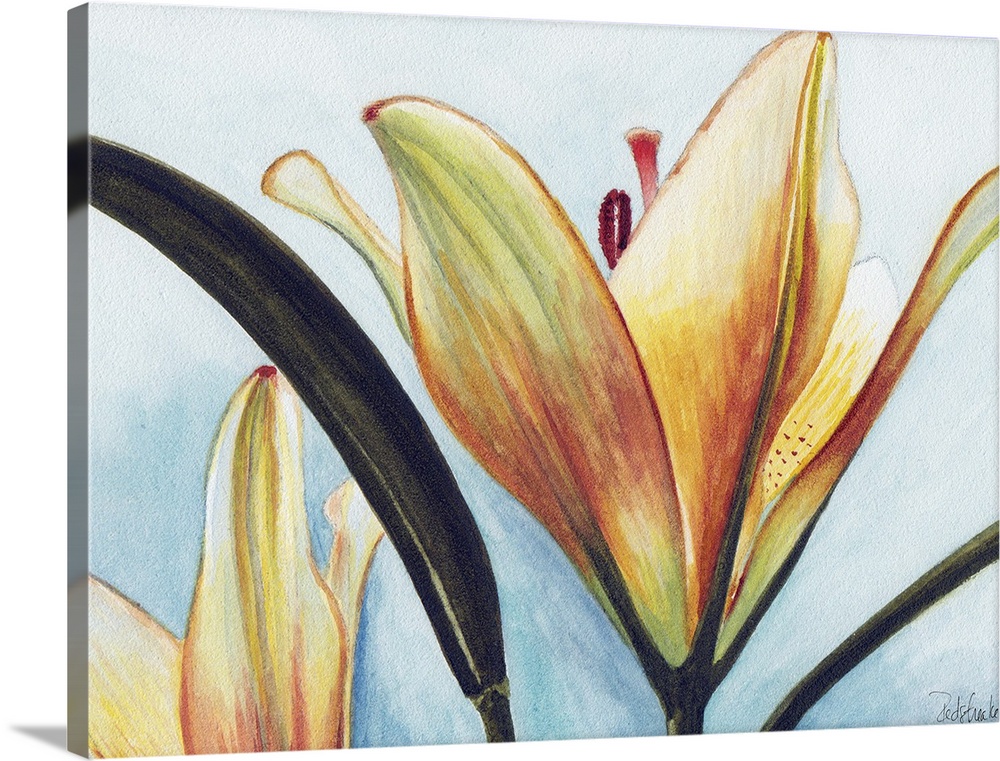 Contemporary painting of a close view of a lily.
