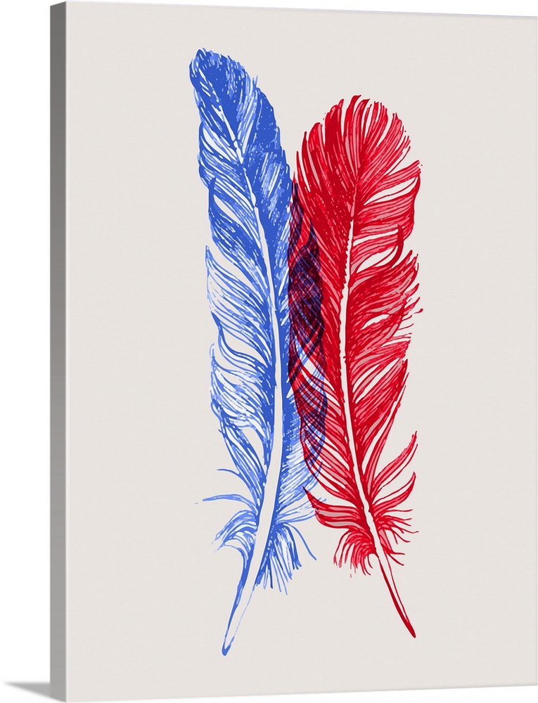 Red and Blue Feathers I | Large Solid-Faced Canvas Wall Art Print | Great Big Canvas
