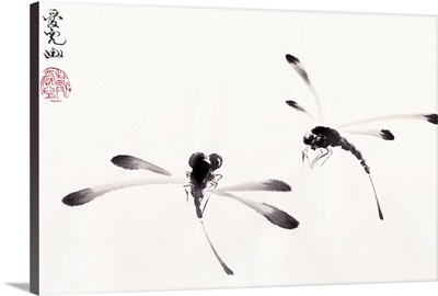 Dance of the Dragonflies