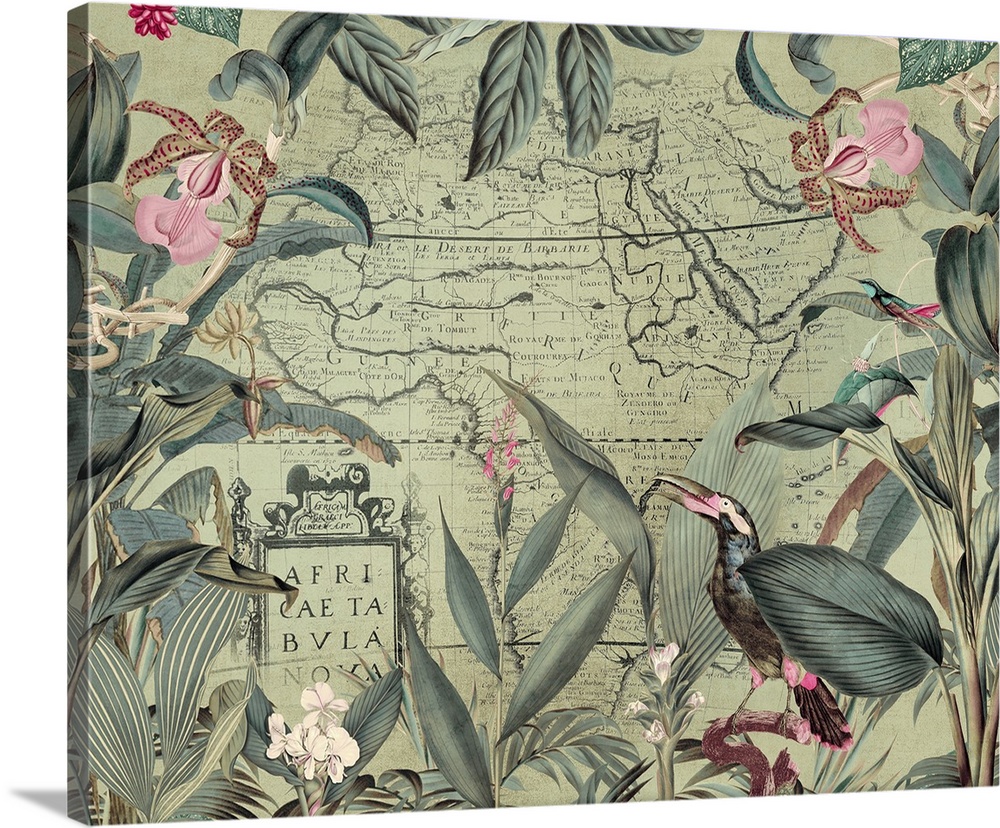 Vintage style art with old map of Africa, exotic vegetation, and toucan.
