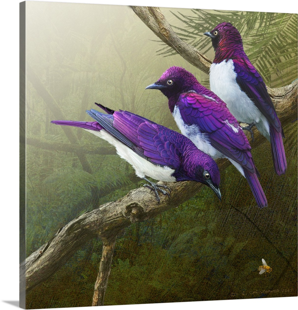 Contemporary artwork of African starlings perched on a tree branch.