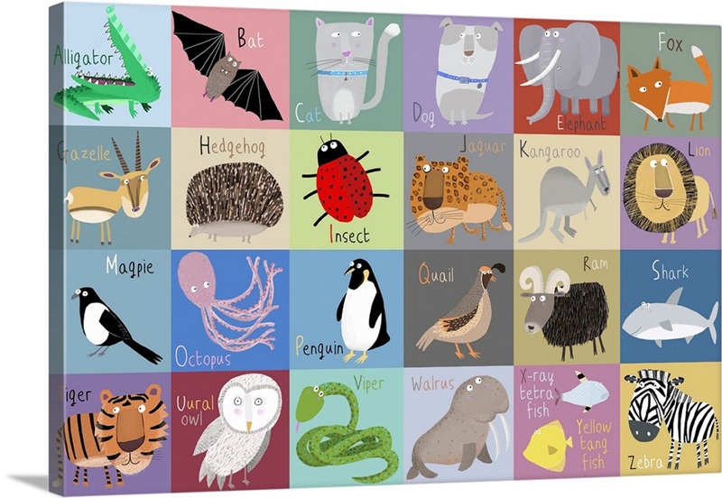 Alphabet Color | Great Big Canvas