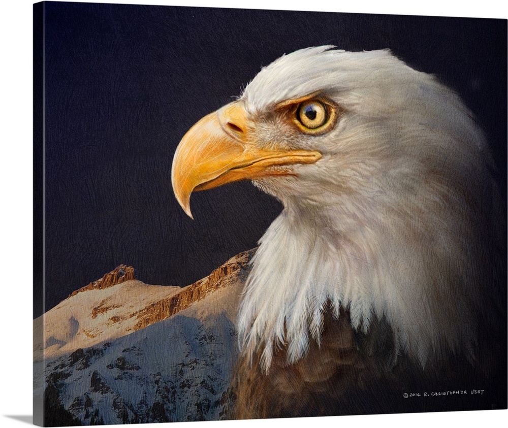 Contemporary artwork of an american bald eagle portrait.