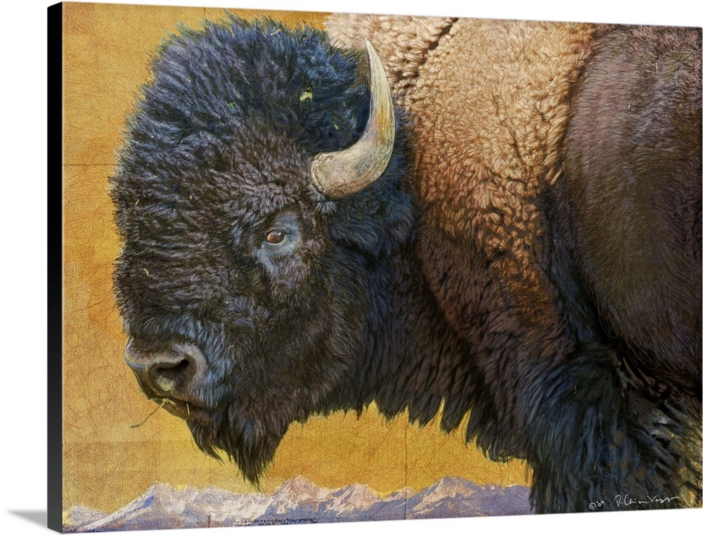 Bison Wall Art, Canvas Prints, Framed Prints, Wall Peels | Great Big Canvas