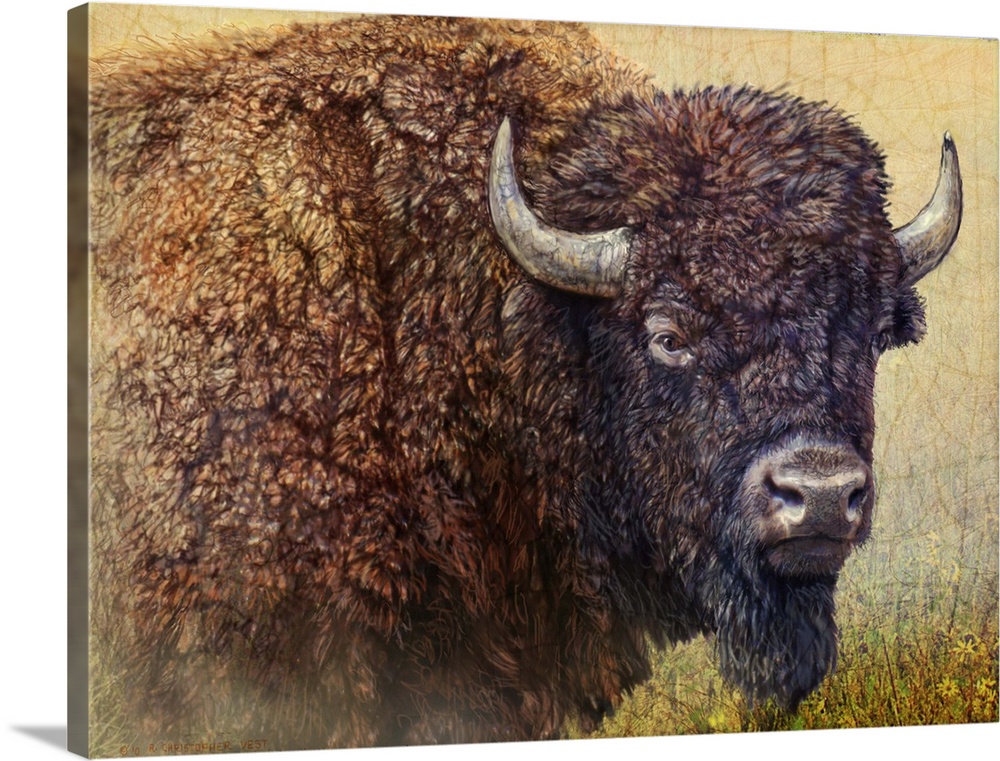 Contemporary artwork of a bison portrait.