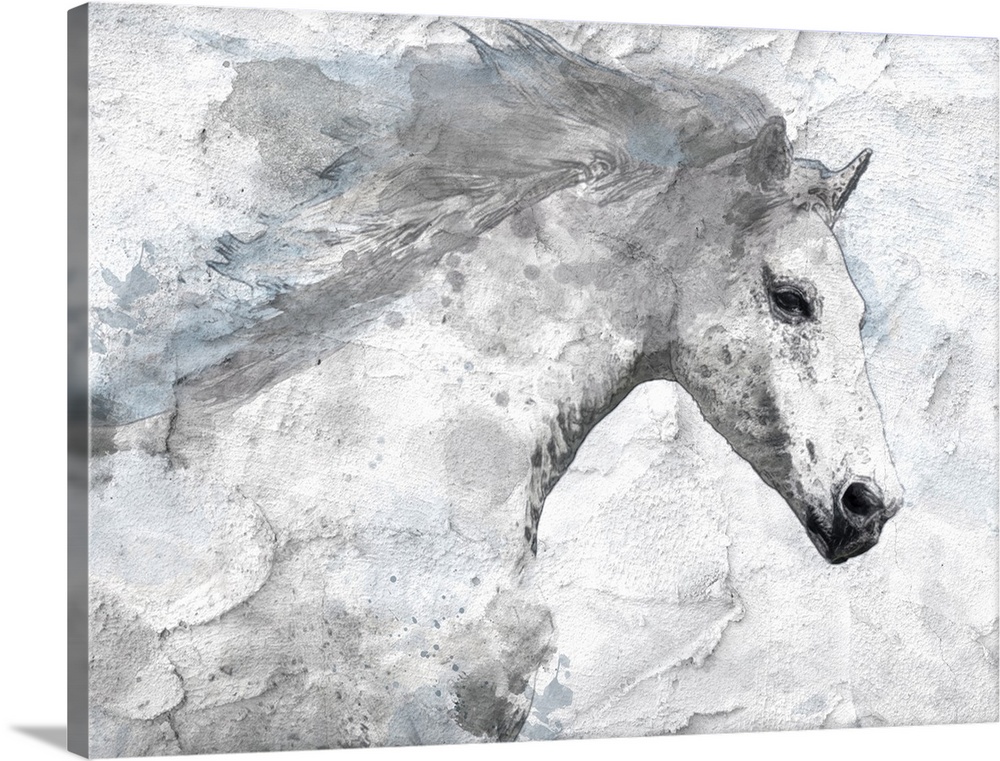 Portrait of a white horse running with its mane flowing behind it.