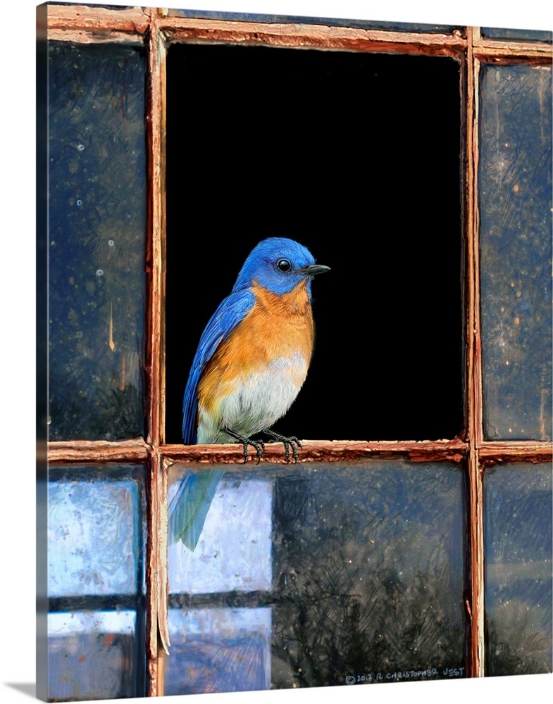 Bluebird Window Wall Art, Canvas Prints, Framed Prints, Wall Peels