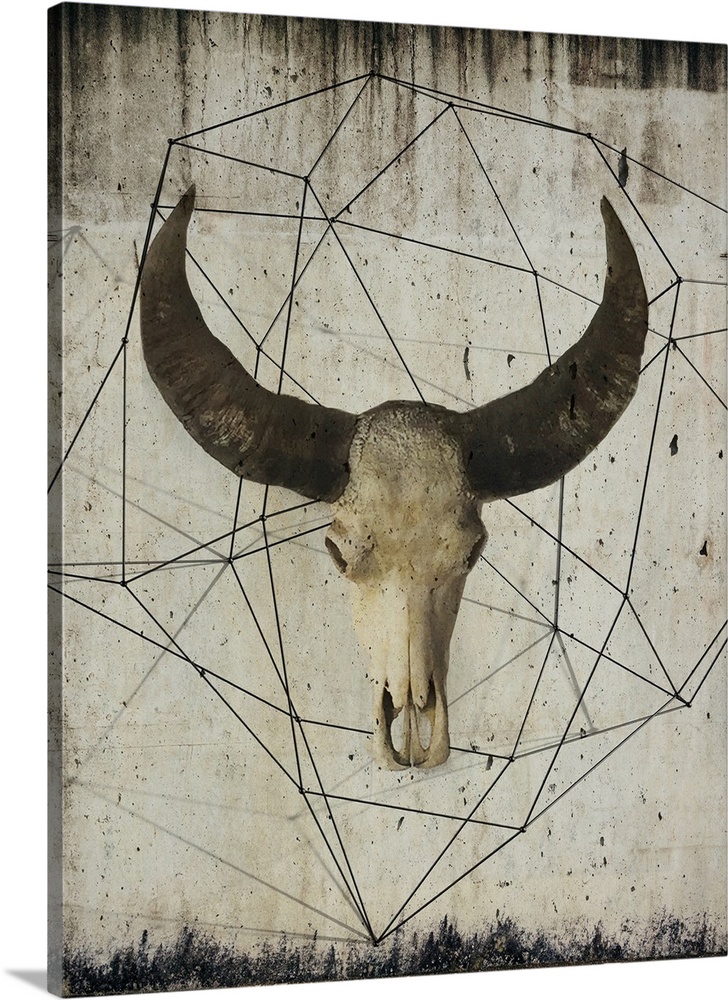 Painting of a bison skull with large dark horns, embellished with geometric lines on a grungy background.