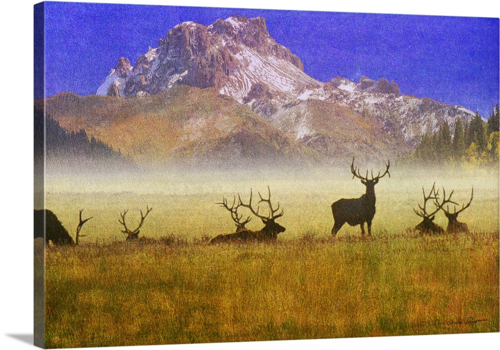 Contemporary artwork of silhouetted group of bull elk in a misty morning field.