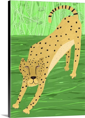 Cheetah Green Stretching