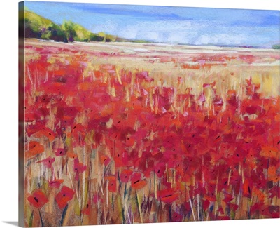 Corn and Poppies IV