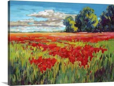 Countryside Poppies