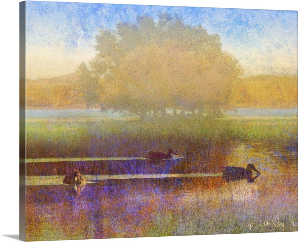 Contemporary artwork of ducks on a countryside pond silhouetted in a morning mist.