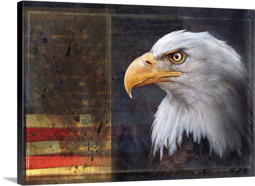 Contemporary artwork of a portrait of an american bald eagle.