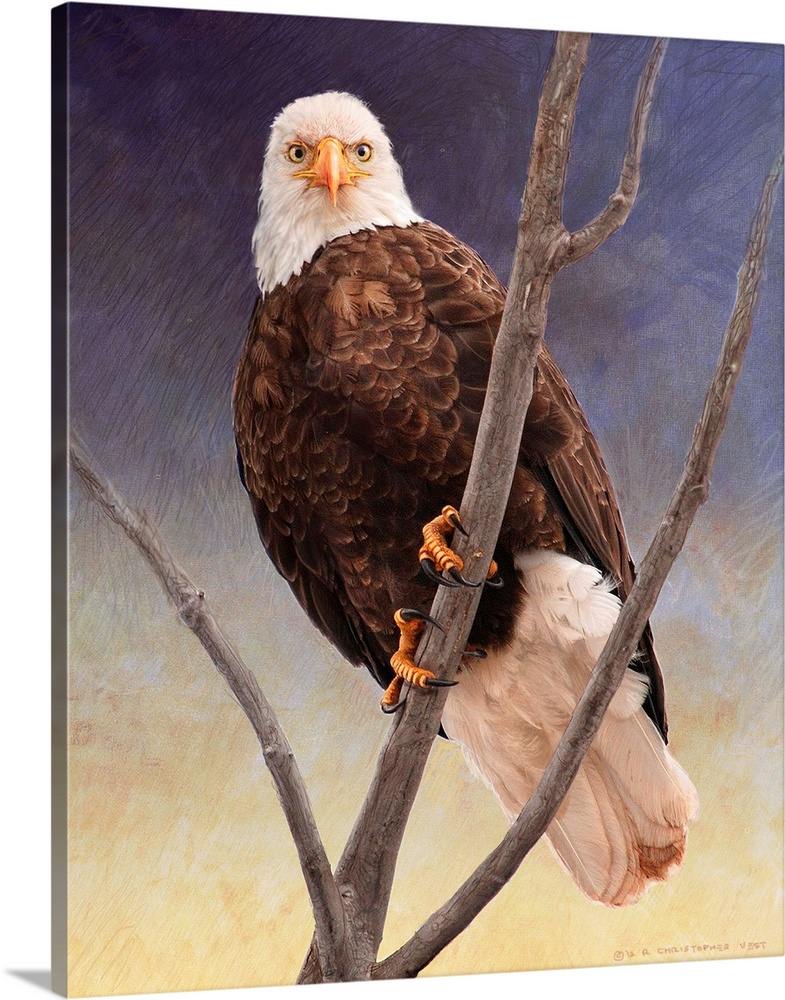 Contemporary artwork of a bald eagle staring into the distance.