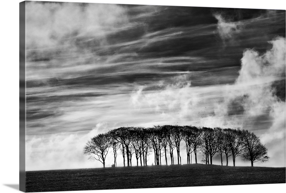 A black and white photograph using high contrast to highlight a sky filled with clouds and a small row of tree on the ground.