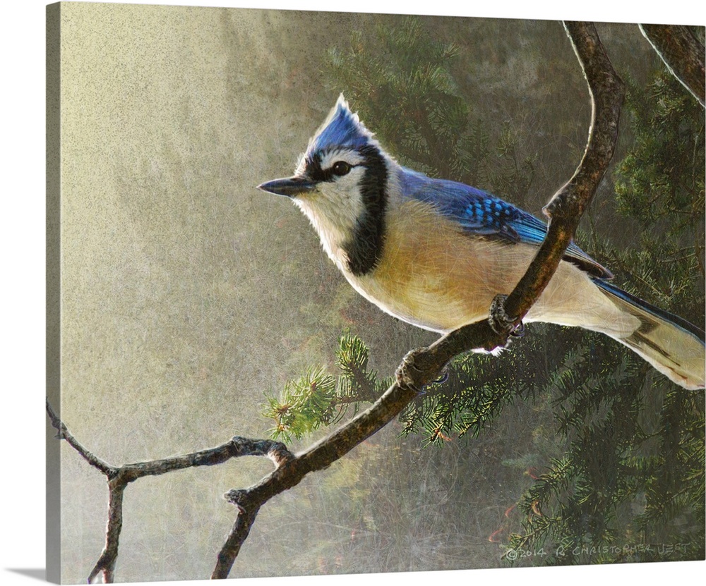 Contemporary artwork of a blue jay perched on a tree branch.