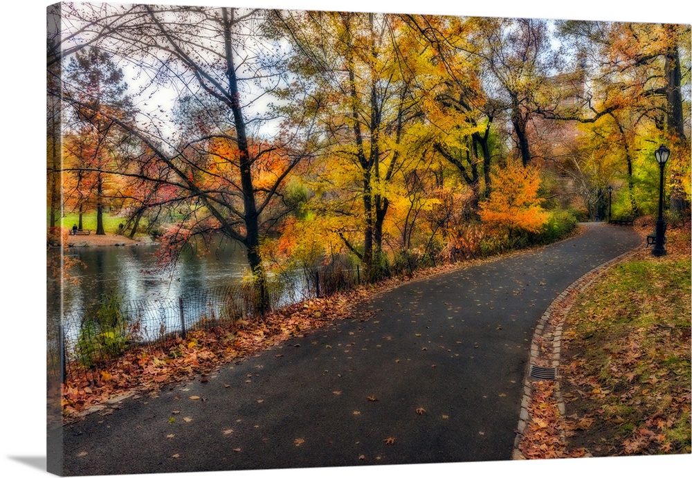 Soft-focus effect applied to fall foliage around a pathway in the northern section of Central Park.