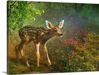 Forest Fawn