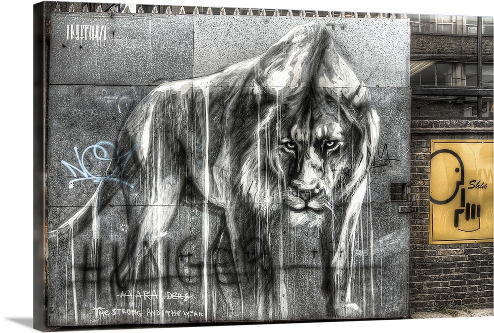 HDR photograph of an urban city wall with graffiti of a lion painted on it.