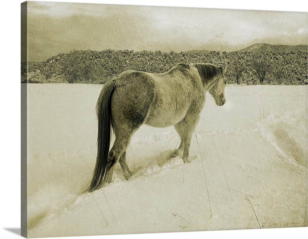 Contemporary artwork of a lone white horse traipsing through cold wintry snow.