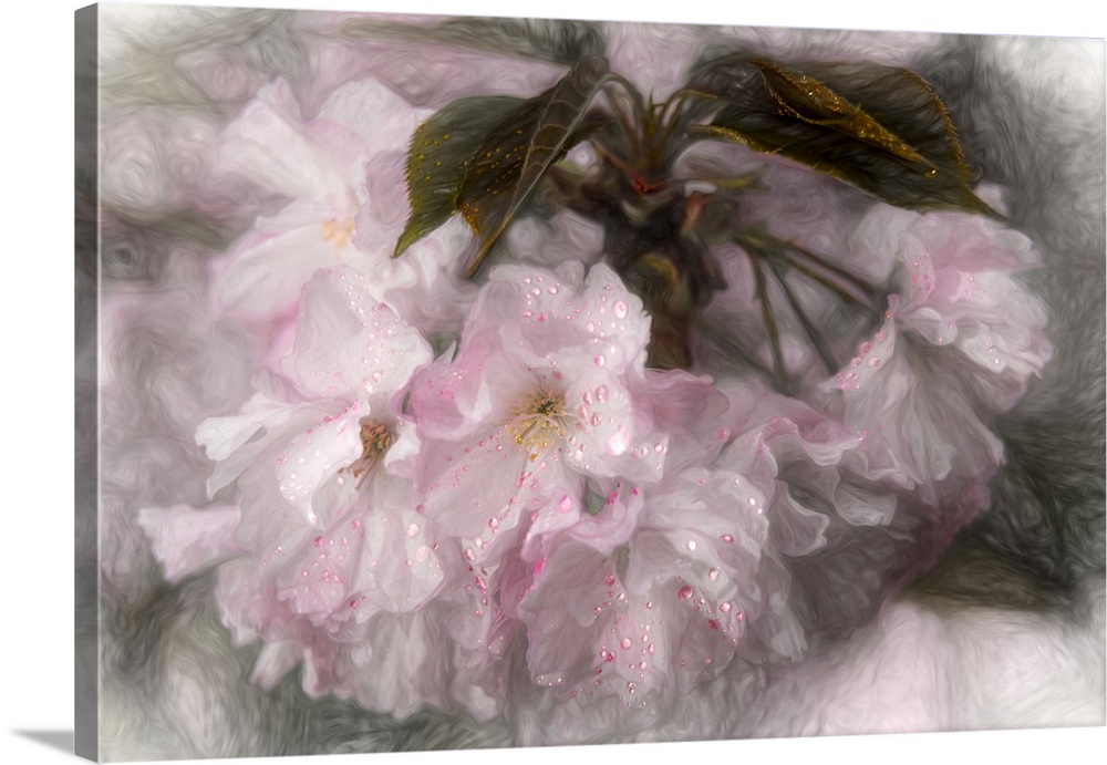 Special texture effect applied to convey a mixed media look of part photograph and part Impressionist painting - Brooklyn ...