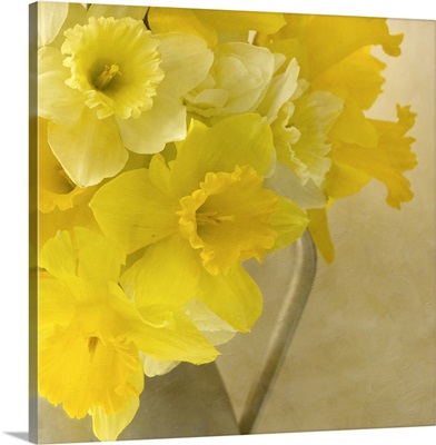 Jug of Daffodils