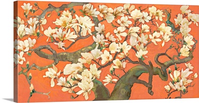 Magnolia Branches 1
