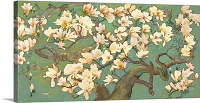 Magnolia Branches 2