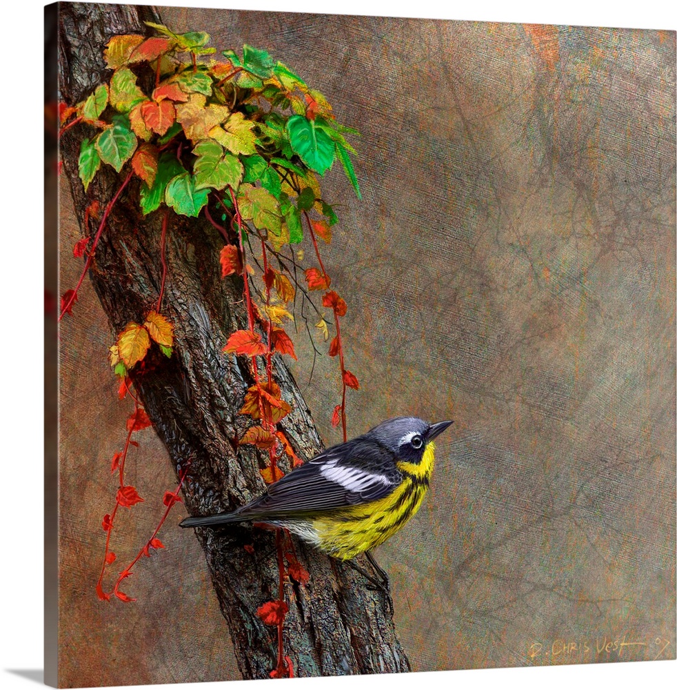 Contemporary artwork of a magnolia warbler perched on a tree.