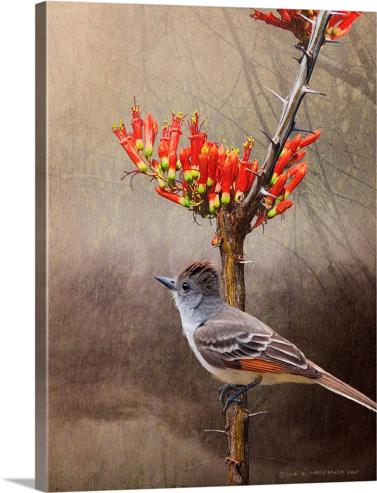 Contemporary artwork of a flycatcher perched on a tree branch.