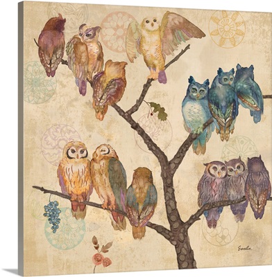 Owls on Branches