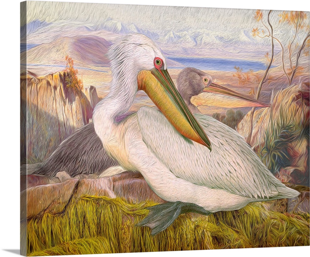 A painterly textured rendition of two vintage white pelicans perched attop a mysterious seaweed covered sea side background.