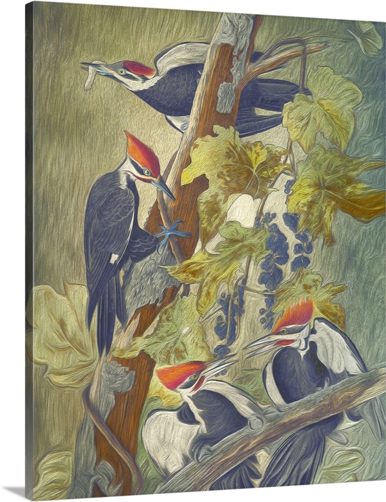 A painterly textured rendition of four Pileated Woodpeckers, on a branch of a tree.