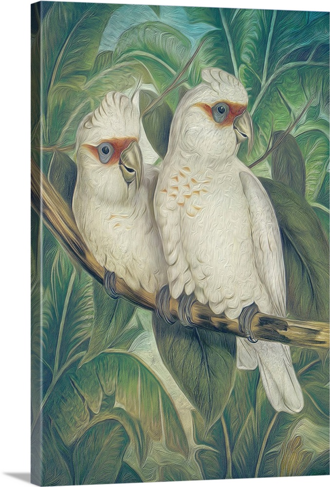 A painterly textured image of two white cuckoos on a branch in front of a green jungle leaf background.
