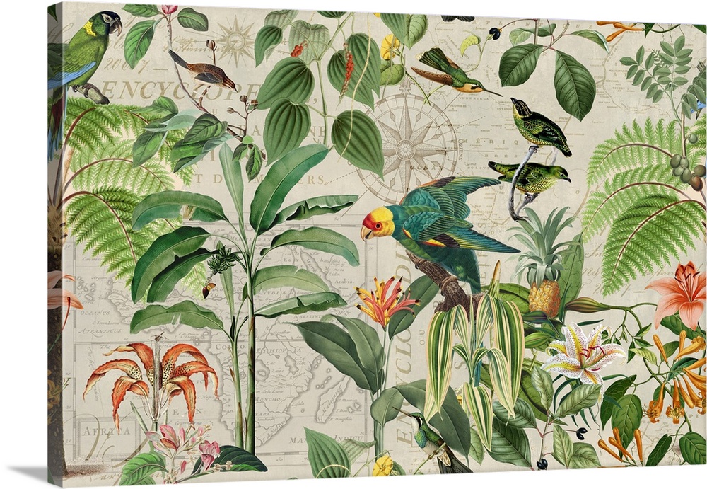 Vintage style illustration with vintage map, parrots, hummingbirds, and tropical plants.