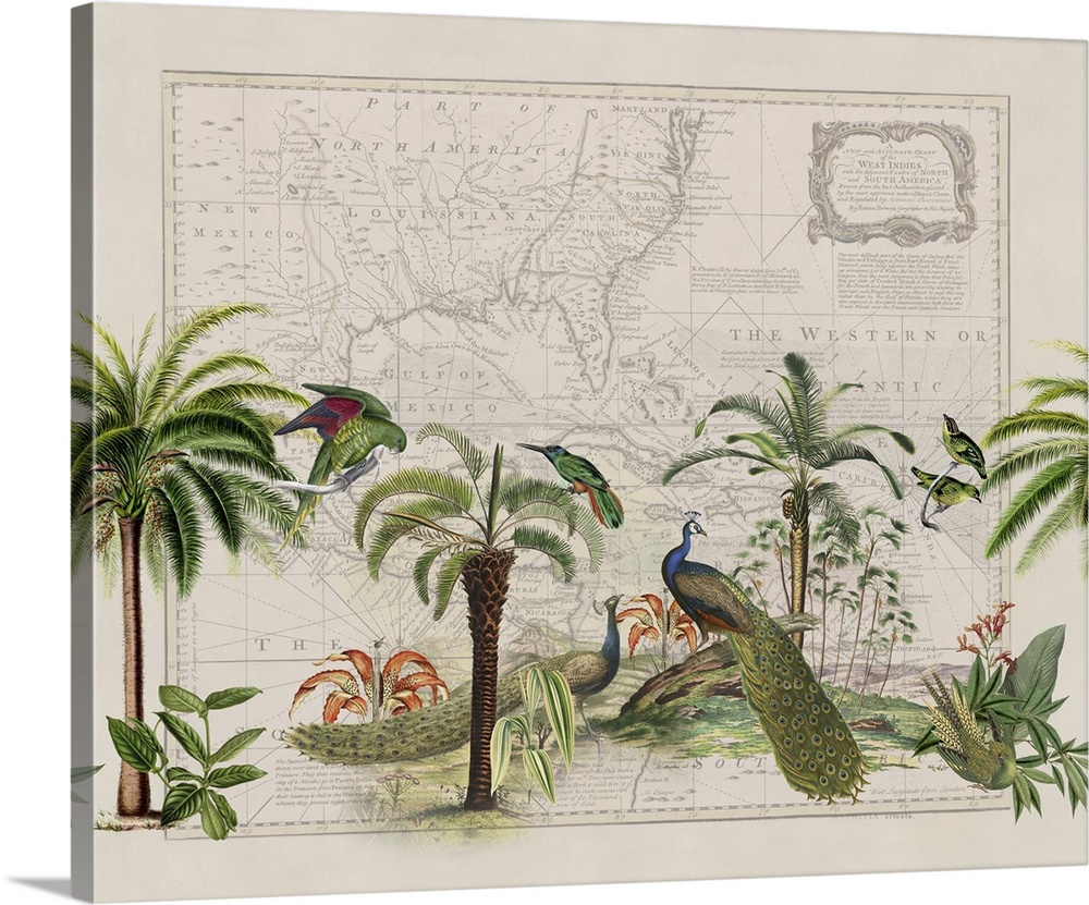 Vintage style mixed media art with old map, exotic peacocks, and parrots.