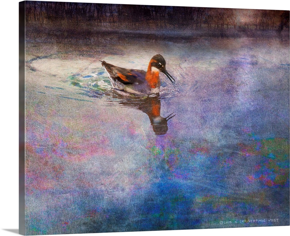 Contemporary artwork of a duck floating in water.