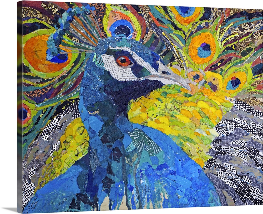 Poised Peacock I