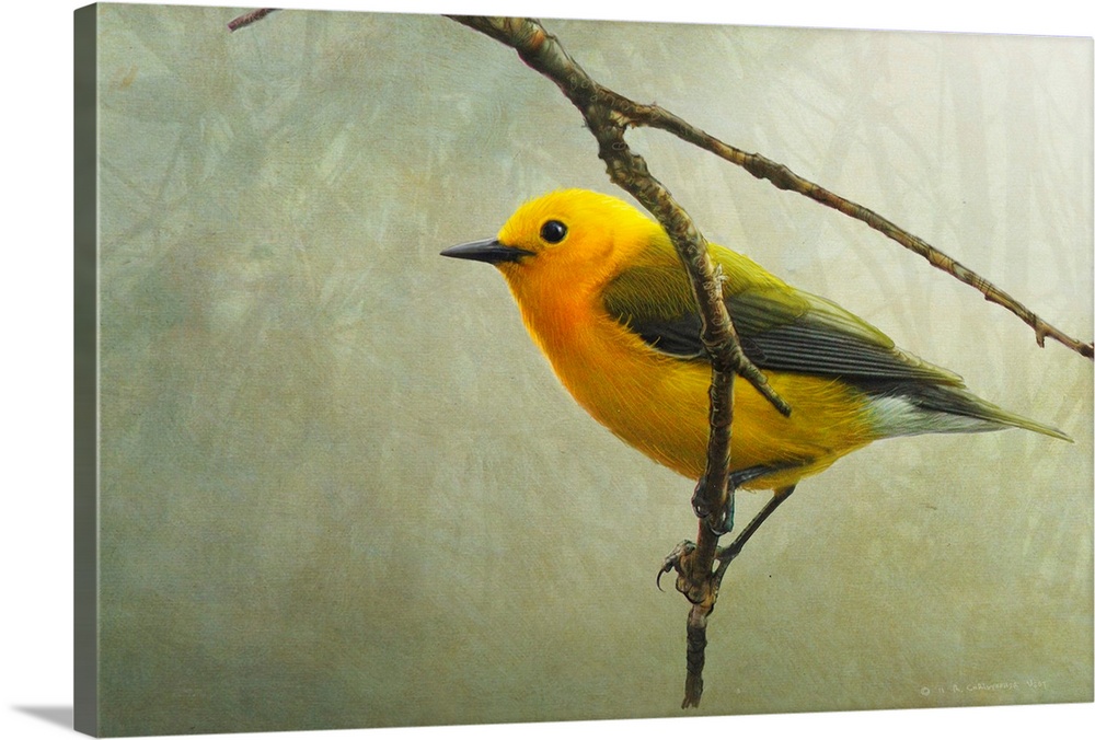 Contemporary artwork of a Warbler perched on a tree branch.